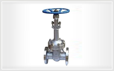 DZ41国标低温法兰闸阀