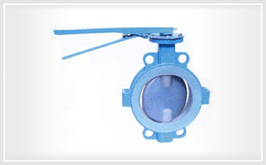 D71(半衬)、D71Fs(全衬)对夹衬氟塑料蝶阀