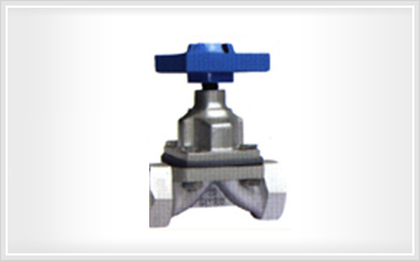 EG11W 内螺纹隔膜阀