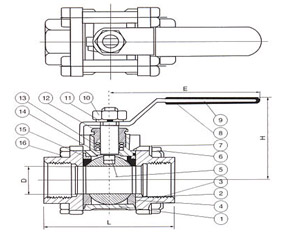 qiufa-29-b.jpg
